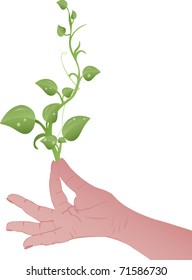 Vector illustration Green sprouts on a female hand