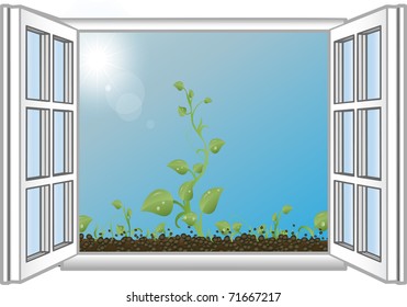 Vector illustration green sprouts in an open window