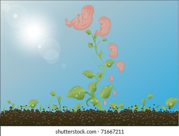 Vector illustration green sprouts, stages of development of the child against the sky and the sun