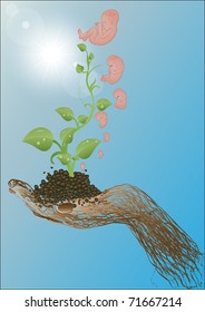 Vector illustration green sprouts, stages of development of the child against the sky and the sun in a hand