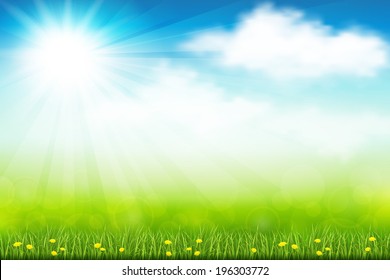 Vector illustration green summer field with flowers and grass