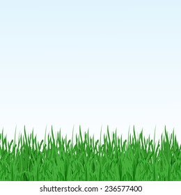 Ilustración vectorial del campo verde de verano con hierba verde, cielo azul y lugar para su texto