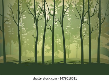 Vector illustration of a green summer forest, European mixed forests, morning or afternoon hazy light, the freshness of the forest after the rain