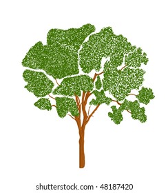 vector illustration green summer trees