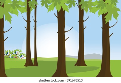 Vector illustration green sunny forest landscape. Forest background