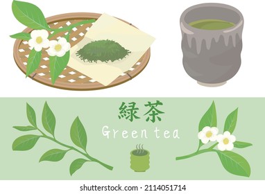 Vektorgrafik von grünem Tee, getrockneten Teeblättern und frischen Blättern.