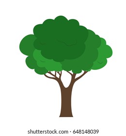 Vector illustration of a green tree with a brown trunk isolated on a white background