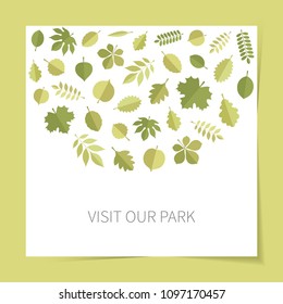 Vector illustration green tree leaves (elm, beech, ash, linden, birch, alder, aspen, willow, maple, poplar, rowan, hawthorn, walnut, apple, oak, acacia, chestnut, conker) isolated on white background 