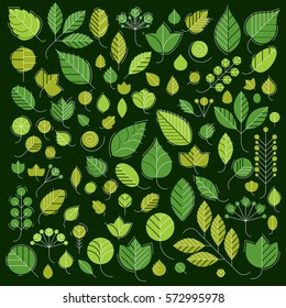 Vector illustration of green tree leaves isolated on white background. Set of simple drawn nature design elements, graphic symbols made in ecology theme.