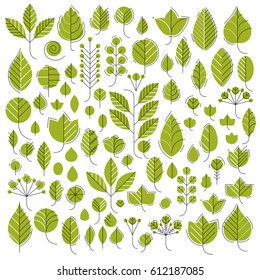 Vector illustration of green tree leaves isolated on white background. Set of simple drawn nature design elements, graphic symbols made in ecology theme.