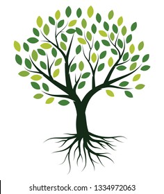 Vector illustration Green Tree with Roots