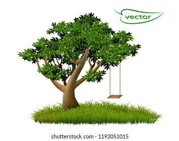 Vector illustration of green tree with rope swing place to relax in the garden fun for kids in nature