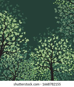 Vector illustration of green trees. Landscape background with forest. Nature background