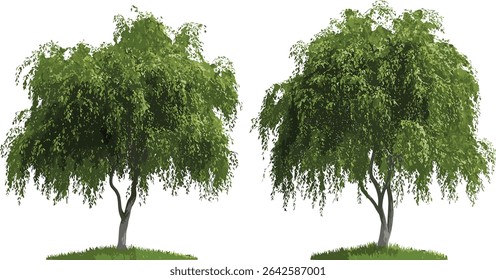Ilustração vetorial de árvores verdes, paisagem perene, transparente, design de natureza, árvores de paisagem, verde, ilustração ambiental, arte da natureza, gráfico ao ar livre