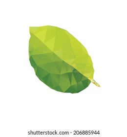 Vector illustration of green triangulated leaf
