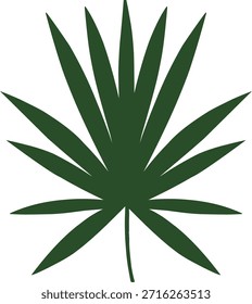 Ilustración vectorial de una hoja tropical verde en un estilo botánico limpio. Perfecto para temas de naturaleza, diseños tropicales, fondos, estampados y Elementos decorativos.