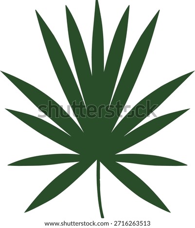 Vector illustration of a green tropical leaf in a clean botanical style. Perfect for nature themes, tropical designs, backgrounds, prints, and decorative elements.