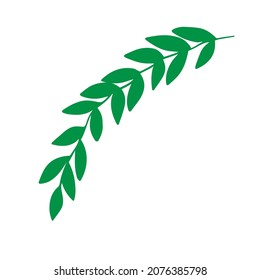 A Vector Illustration of a green tropical palm leaf isolated on a white background