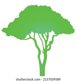 vector illustration of green tropical tree isolated on white	