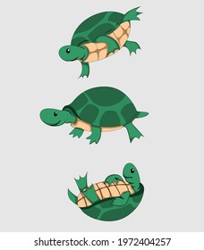 vector illustration of green turtle