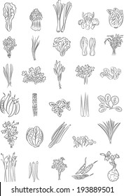 Vector illustration of Green Vegetables in line art mode