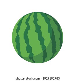 Vector illustration of green watermelon.