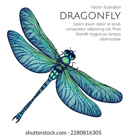 Vector illustration of a green-blue dragonfly