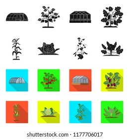 Vector illustration of greenhous and plant icon. Set of greenhous and garden vector icon for stock.