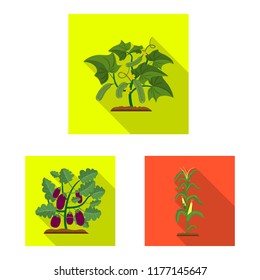 Vector illustration of greenhous and plant logo. Set of greenhous and garden stock vector illustration.