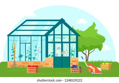 Vector illustration of greenhouse with different plants inside in flat style. Glass house with tomatoes and cucumber plants. Wooden boxes with vegetables.