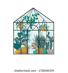 Vector illustration of a greenhouse with different plants and flowers.. Flat design. Great for postcards, prints, posters, stickers, etc.