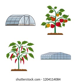 Vector illustration of greenhouse and plant icon. Set of greenhouse and garden vector icon for stock.