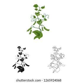 Vector illustration of greenhouse and plant icon. Collection of greenhouse and garden stock vector illustration.