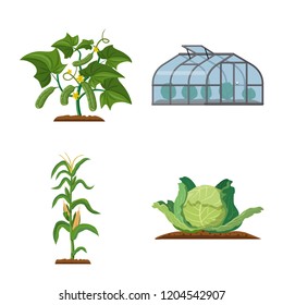 Vector illustration of greenhouse and plant logo. Collection of greenhouse and garden stock symbol for web.