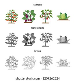 Vector illustration of greenhouse and plant logo. Collection of greenhouse and garden vector icon for stock.