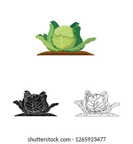 Vector illustration of greenhouse and plant logo. Collection of greenhouse and garden stock symbol for web.