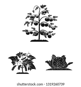 Vector illustration of greenhouse and plant sign. Collection of greenhouse and garden stock symbol for web.