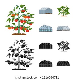 Vector illustration of greenhouse and plant symbol. Collection of greenhouse and garden stock vector illustration.