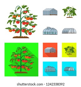 Vector illustration of greenhouse and plant symbol. Collection of greenhouse and garden vector icon for stock.