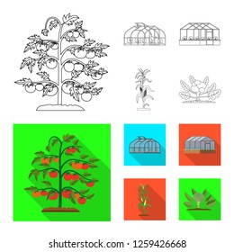 Vector illustration of greenhouse and plant symbol. Collection of greenhouse and garden stock vector illustration.