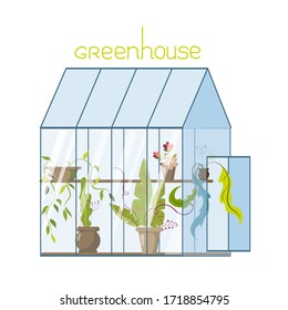 Vector illustration with a greenhouse. Plants growing in pots inside glass greenhouse. Excellent for the design of postcards, posters, stickers.