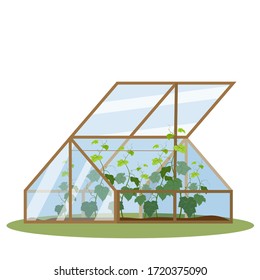 Vector illustration with a greenhouse. Plants growing inside glass greenhouse. Excellent for the design of postcards, posters, stickers.