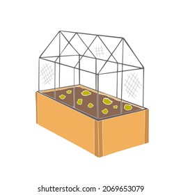 Vector illustration of greenhouse with plants inside in flat style. Glass house with cabbage and salad plants. Organic and healthy harvest concept