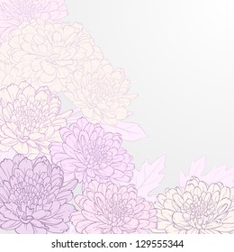 Vector illustration for greeting card with chrysanthemum.