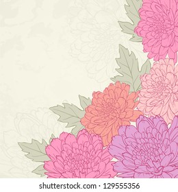 Vector illustration for greeting card with chrysanthemum.