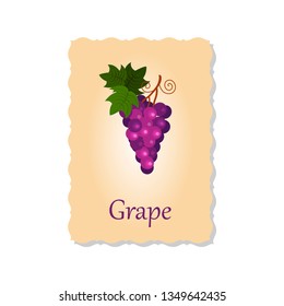 Vector illustration of greeting card with grape