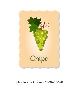 Vector illustration of greeting card with grape