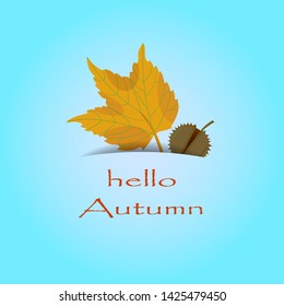 Vector illustration of greeting card. Hello Autumn concept. Flat design.