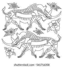 vector illustration. Greeting card with a rhinoceros skeletons. Rhino.