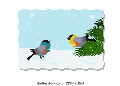 Vector illustration of greeting card Two bullfinch sitting in snow and on spruce